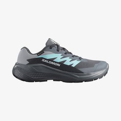 Salomon 478025 Kadın Alphaglıde Gore-Tex